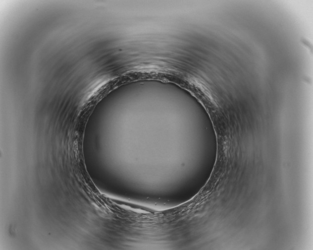 X0000095110968200712141148