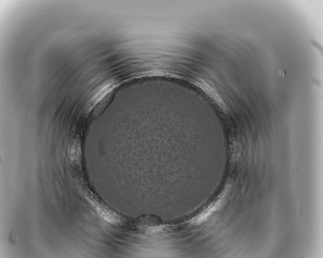 X0000095110969200712141148