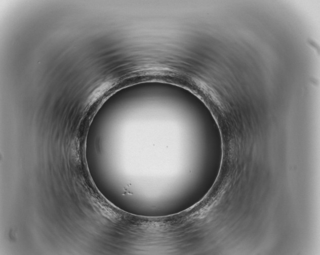 X0000095110970200712141148