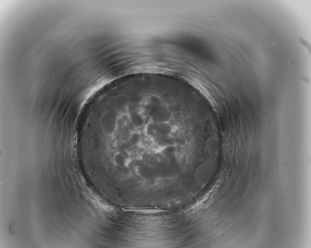 X0000095110971200712141148