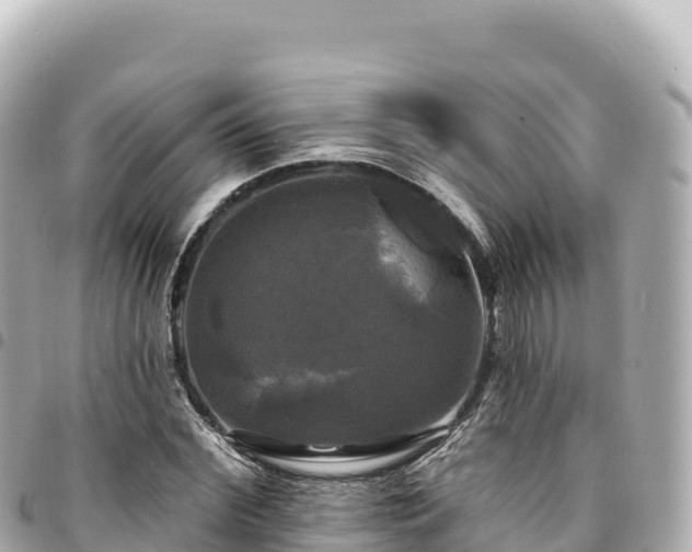 X0000095110972200712141148