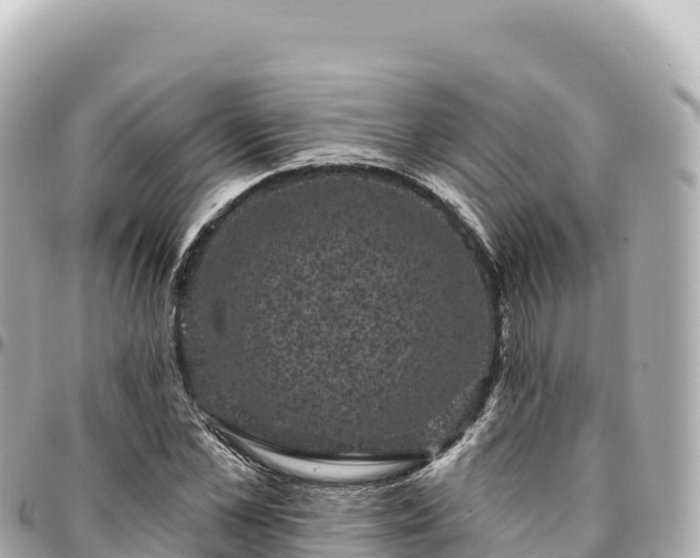 X0000095110973200712141148