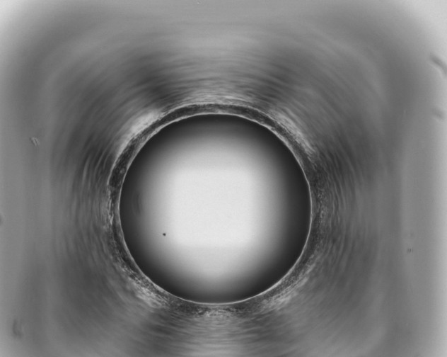 X0000095110974200712141148