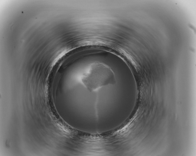 X0000095110975200712141148