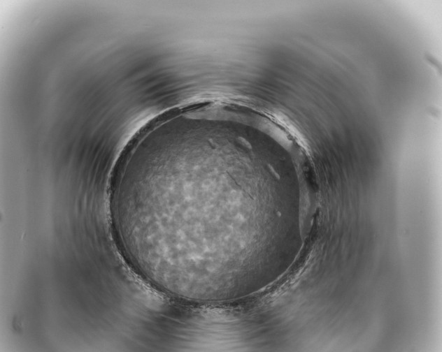 X0000095110976200712141148