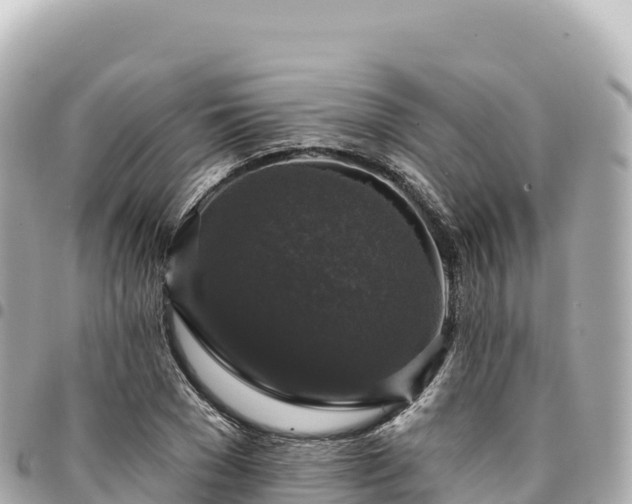 X0000095110977200712141147