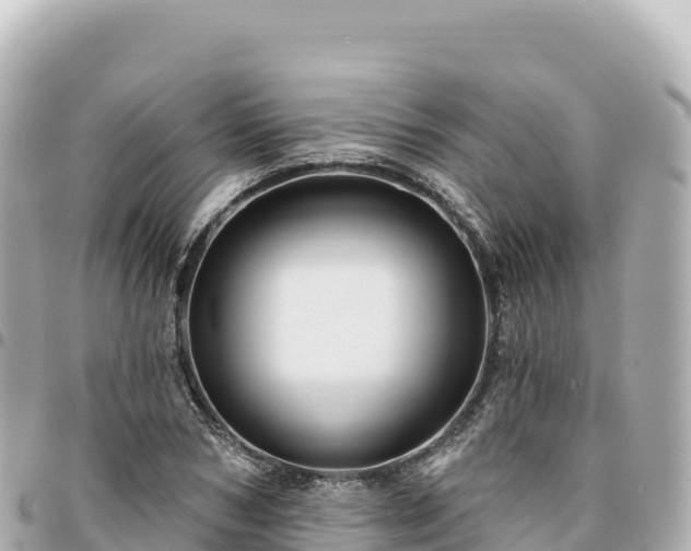 X0000095110978200712141147