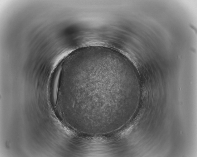 X0000095110979200712141147