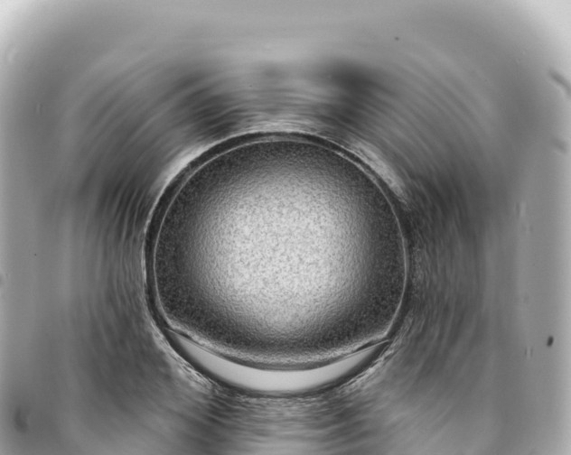 X0000095110980200712141147