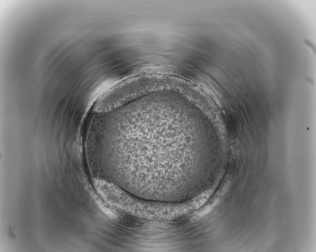 X0000095110981200712141147