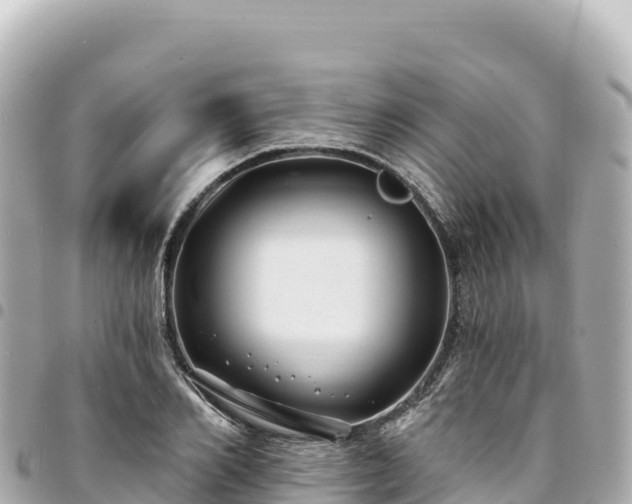 X0000095110982200712141147