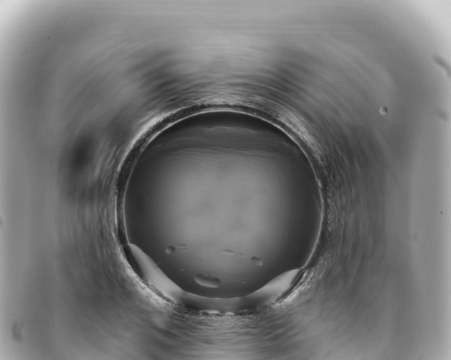 X0000095110984200712141147