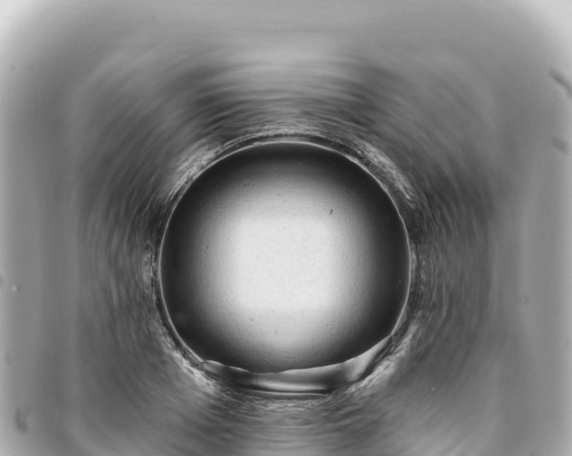 X0000095110985200712141147