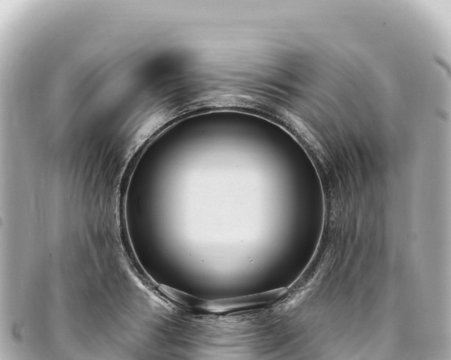 X0000095110986200712141147