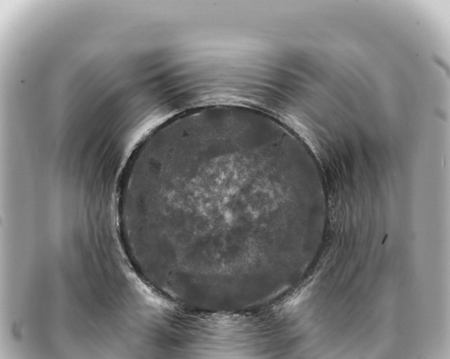 X0000095110987200712141147