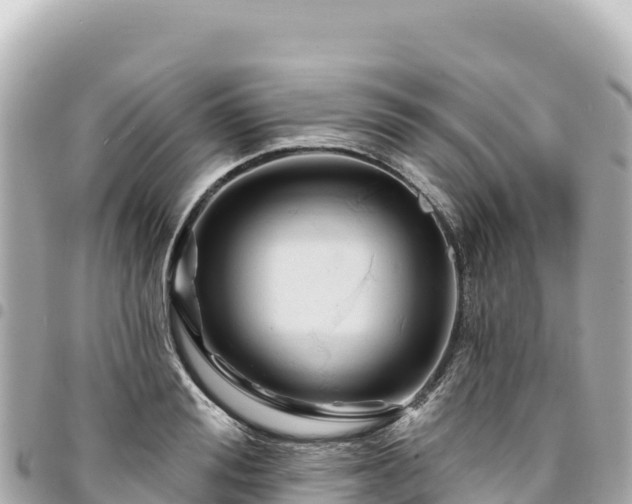 X0000095110988200712141147