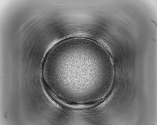 X0000095110989200712141147