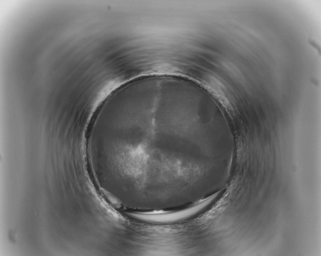 X0000095110990200712141147