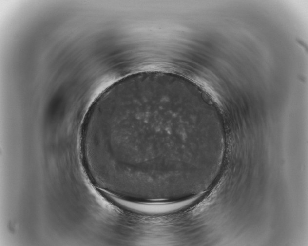 X0000095110991200712141147