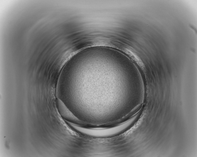 X0000095110993200712141147