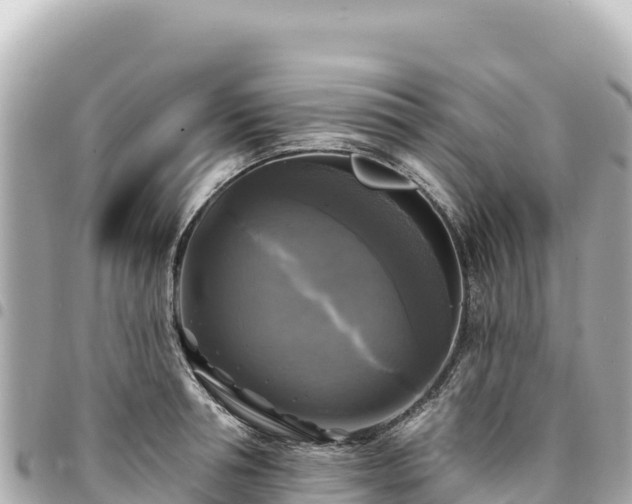 X0000095110994200712141147