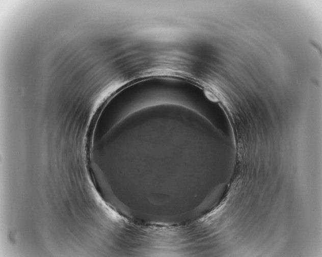 X0000095110995200712141147