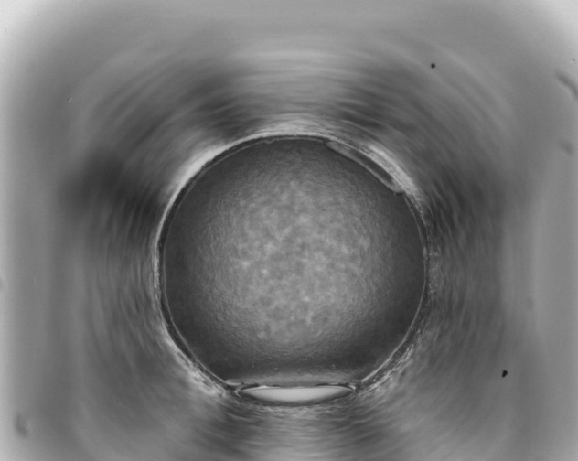 X0000095110996200712141147