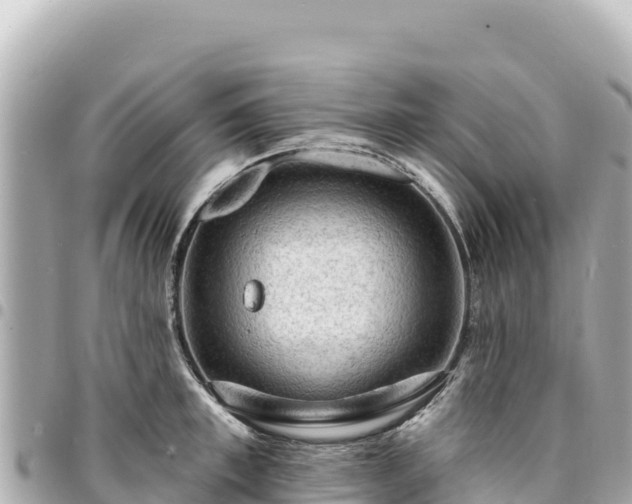 X0000095110997200712141147