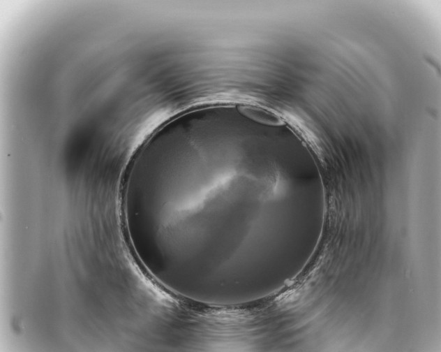 X0000095110998200712141147