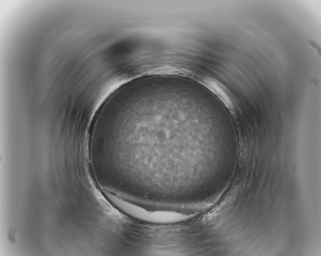 X0000095111000200712141147