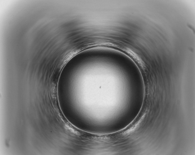 X0000095111001200712141147