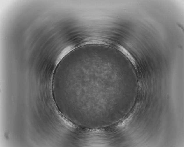 X0000095111002200712141147