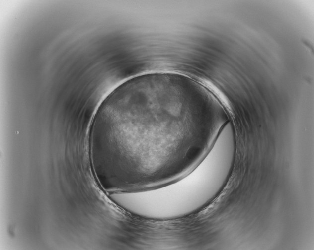 X0000095111004200712141147