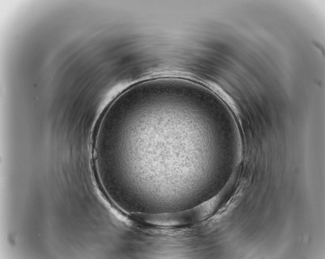 X0000095111005200712141147