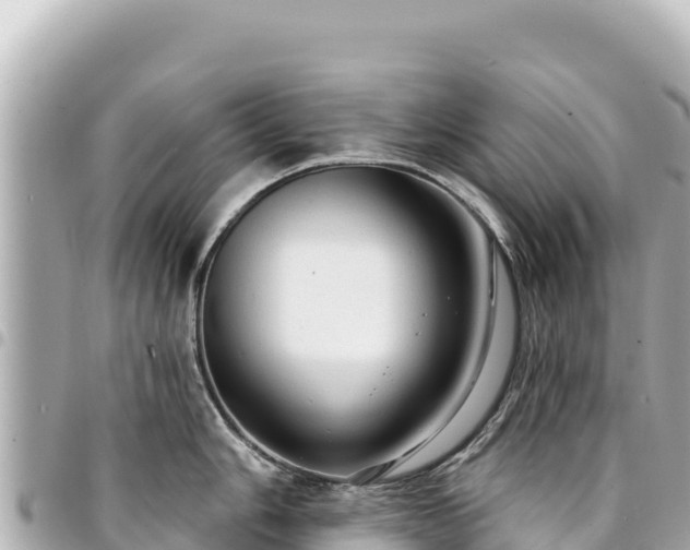 X0000095111006200712141147