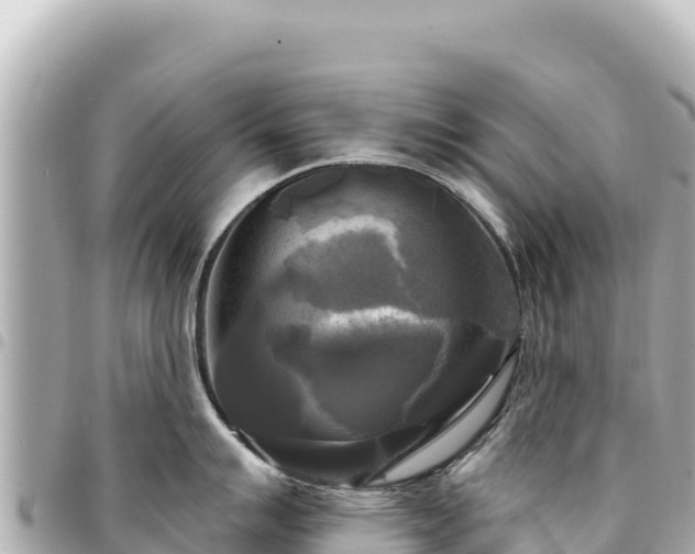 X0000095111007200712141147