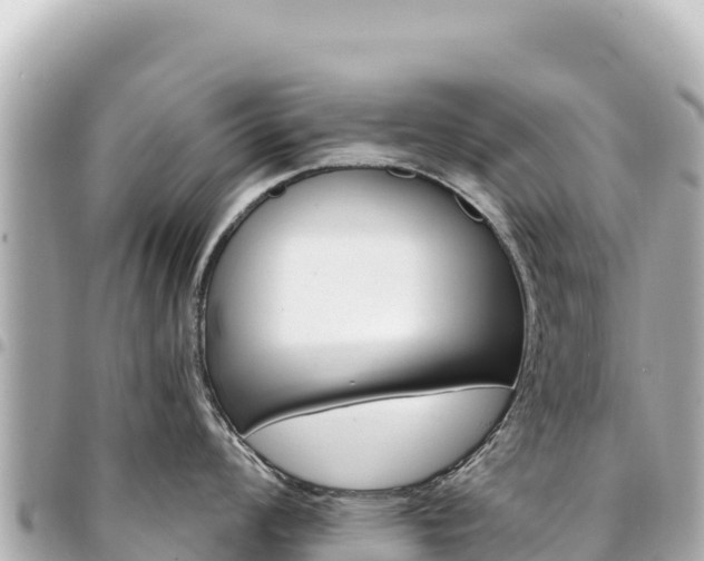 X0000095111008200712141147