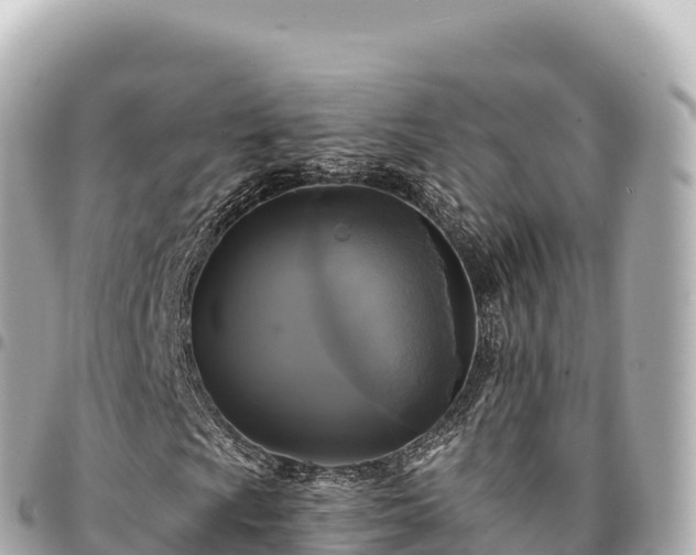 X0000095111009200712141146