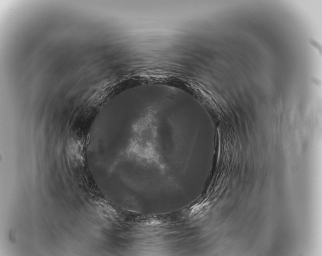 X0000095111010200712141146