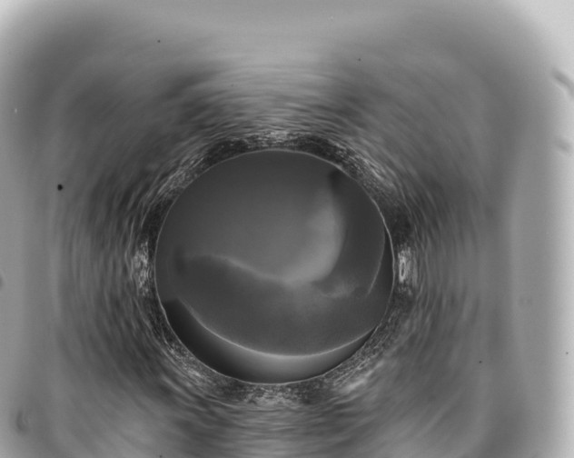 X0000095111011200712141146