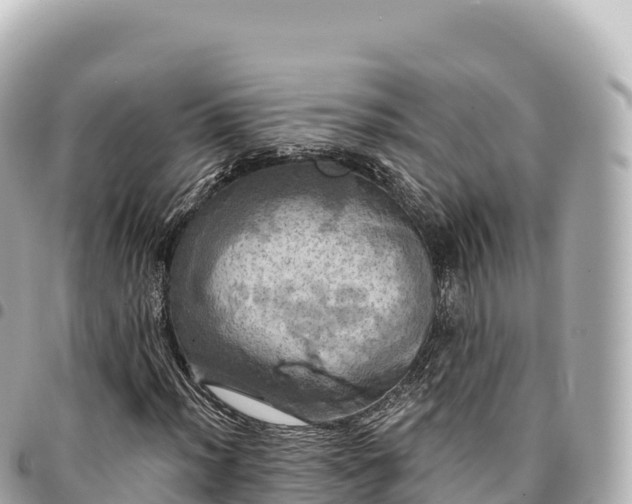 X0000095111012200712141146