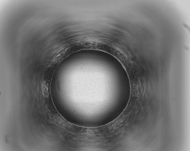 X0000095111013200712141146