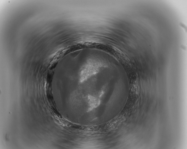 X0000095111014200712141146