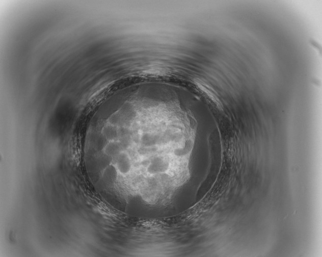 X0000095111015200712141146