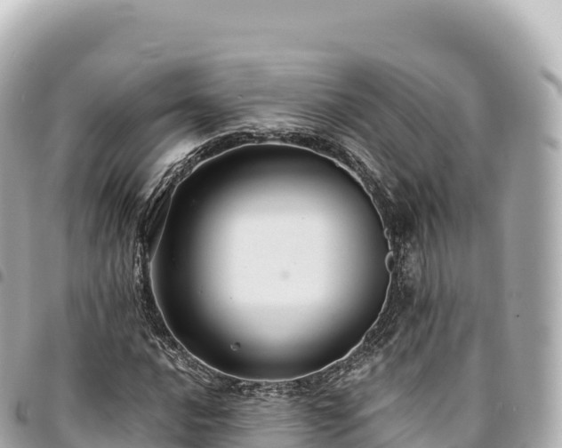 X0000095111016200712141147