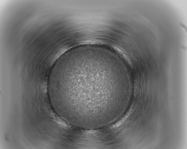 X0000095111017200712141147