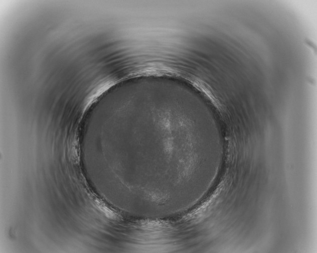 X0000095111018200712141147