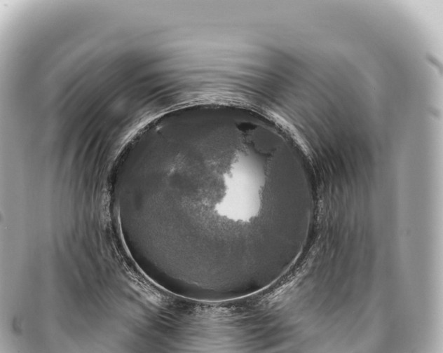 X0000095111019200712141147