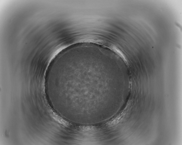 X0000095111020200712141147