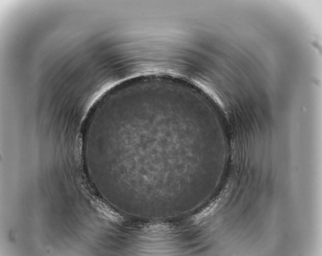 X0000095111021200712141147